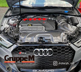 AUDI | RS3 | 8V | TFSI・QUATTRO・367PS | 2015 ~ 2019 | 2.5 LITER | RAM AIR SYSTEM | FRI-0220