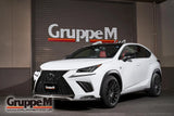 GruppeM Lexus NX300 RAM Intake System | Model: AGZ10/15 | EG Model: 8AR-FTS | 2.0TURBO | (17-21) | FR-0132